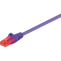 1m 2xRJ-45 Cable cavo di rete Viola Cat6