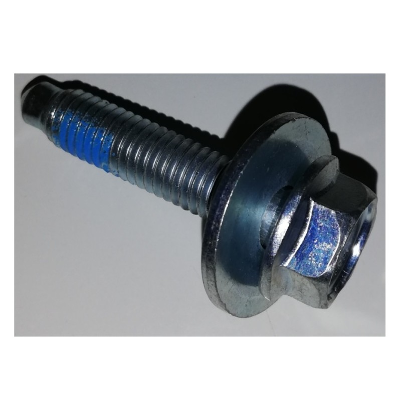 481250218737 Vite Per Lavatrice - Whirlpool
