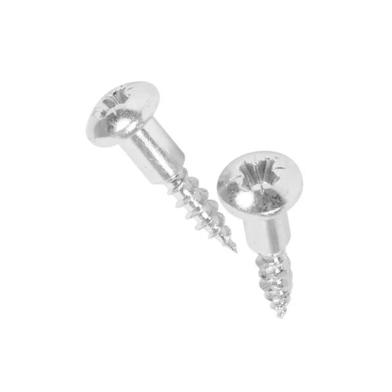 50290016000 Viti (x2) Fissaggio Porta Lavastoviglie - Electrolux