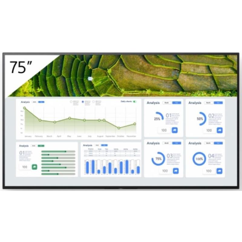 75 4k 24/7 professional bravia