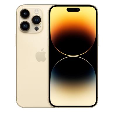 Apple iPhone 14 Pro Max 256GB Oro - Ricondizionato - buono - Grade B