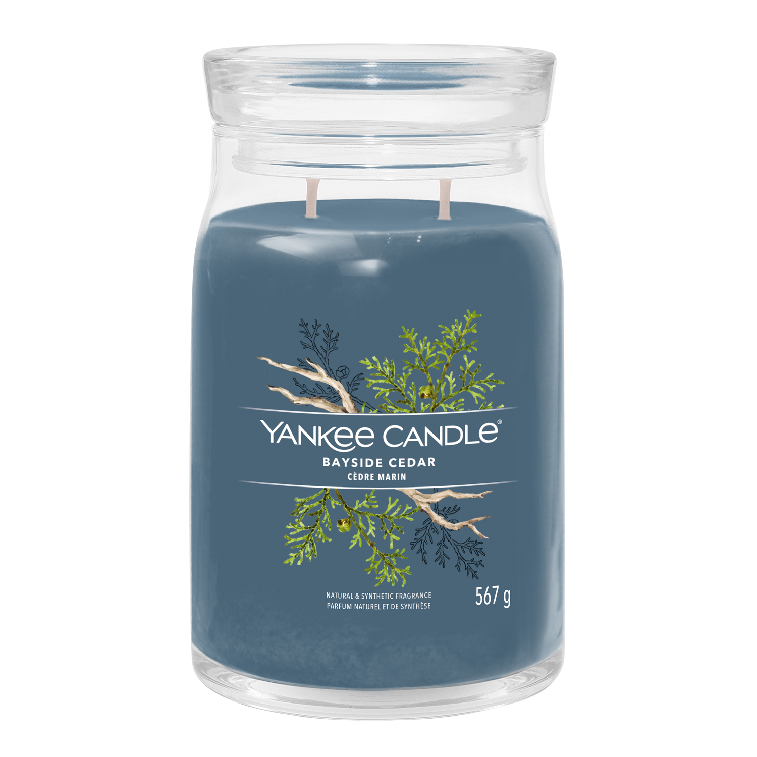 Bayside Cedar, candela in giara grande Yankee Candle Bayside Cedar, candela in giara grande Yankee Candle