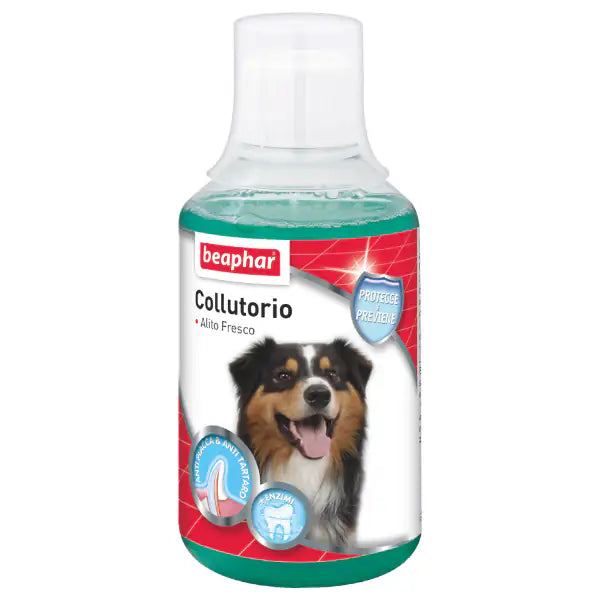Beaphar Collutorio 250 ml - 1° ORDINE? scegli tra BZR5 - BZR20 + 200 pt fedeltà Beaphar Collutorio 250 ml - 1° ORDINE? scegli tra BZR5 - BZR20 + 200 pt fedeltà