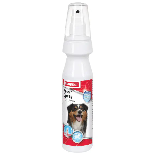 Beaphar Fresh Spray 150 ml - 1° ORDINE? scegli tra BZR5 - BZR20 + 200 pt fedeltà Beaphar Fresh Spray 150 ml - 1° ORDINE? scegli tra BZR5 - BZR20 + 200 pt fedeltà