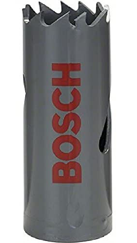 Bosch Sega A Tazza Hss-bim D. 21 Mm H. 44 Mm Universale