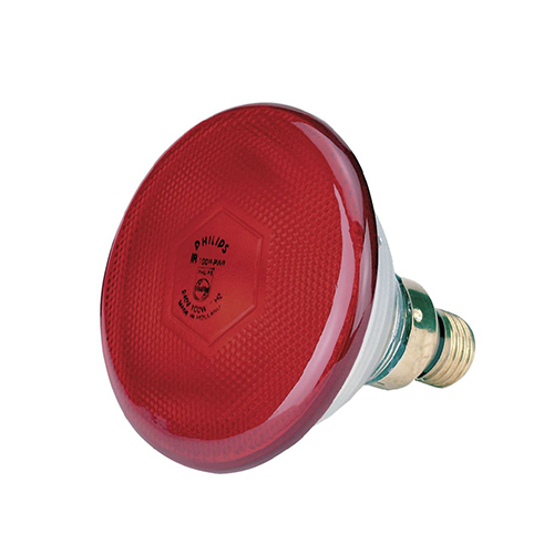 Bulbo Rinforzato Kerbl Philips 175 W, Rosso