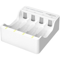 Caricabatterie al litio Pure Power 1001-0181