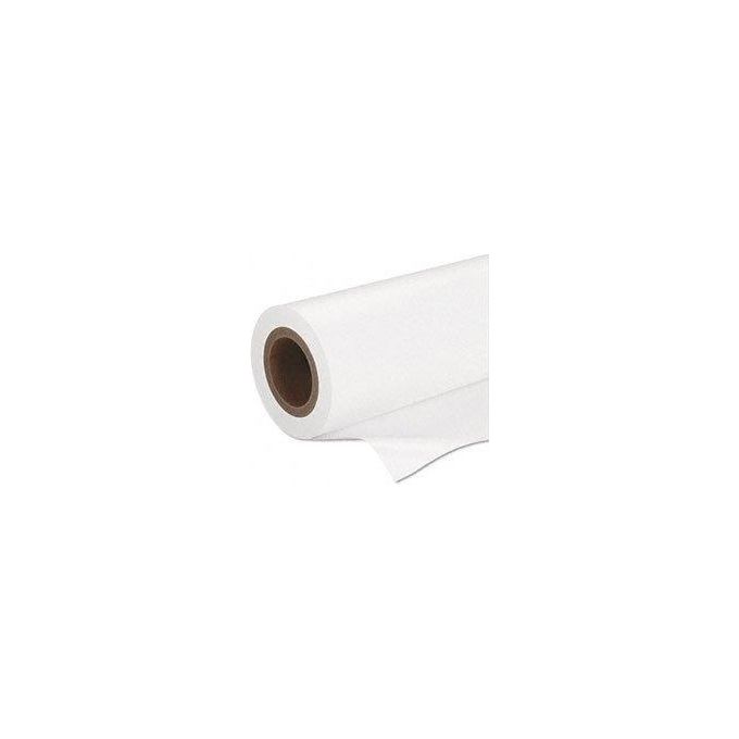 Carta fotografica 16,5 x 305 cm (1pz) Premium Semi Gloss Photo Paper C13S042075