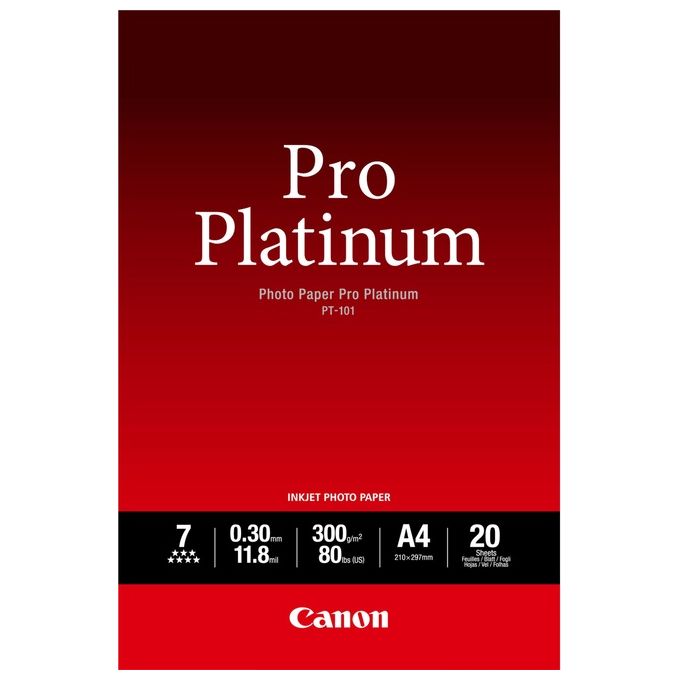 Carta fotografica A4 (20pz) Pro Platinum Pt 101 242L685
