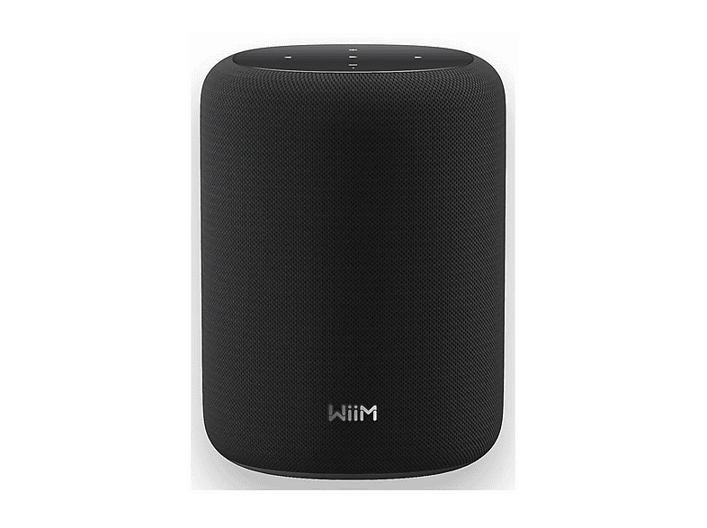CASSA HI-FI Frontali WIIM Sound Lite, Potenza totale 100, Numero di casse 1, Nero