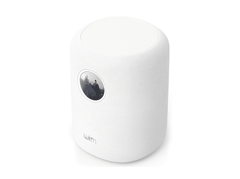 CASSA HI-FI Frontali WIIM Sound, Potenza totale 100, Numero di casse 1, Bianco