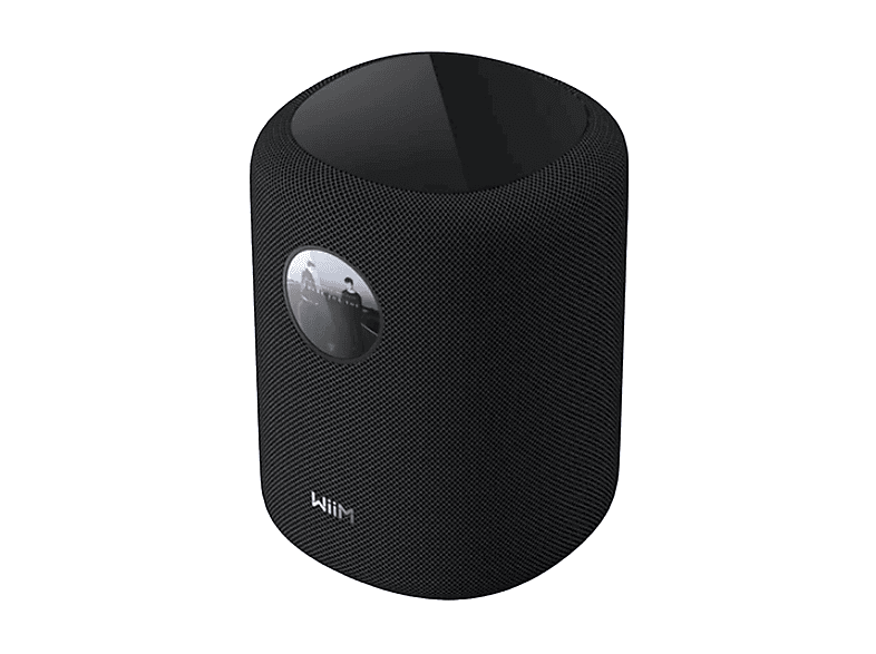CASSA HI-FI Frontali WIIM Sound, Potenza totale 100, Numero di casse 1, Nero