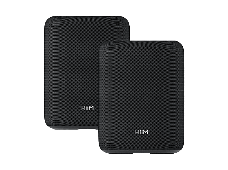 CASSE HI-FI Frontali WIIM Sound Lite Twin Pack, Potenza totale 100, Numero di casse 1, Nero