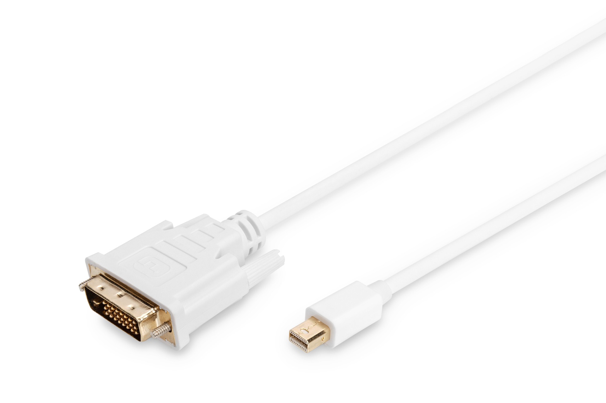 Cavo Adattatore Displayport Mini Dp/Maschio - Dvi(24+1)/Maschio Mt. 2 Cavo Adattatore Displayport Mini Dp/Maschio - Dvi(24+1)/Maschio Mt. 2