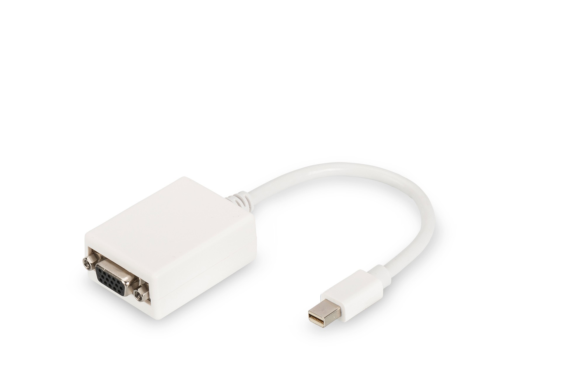 Cavo Adattatore Mini 015 Mt. Colore Bianco Cavo Adattatore Mini 015 Mt. Colore Bianco