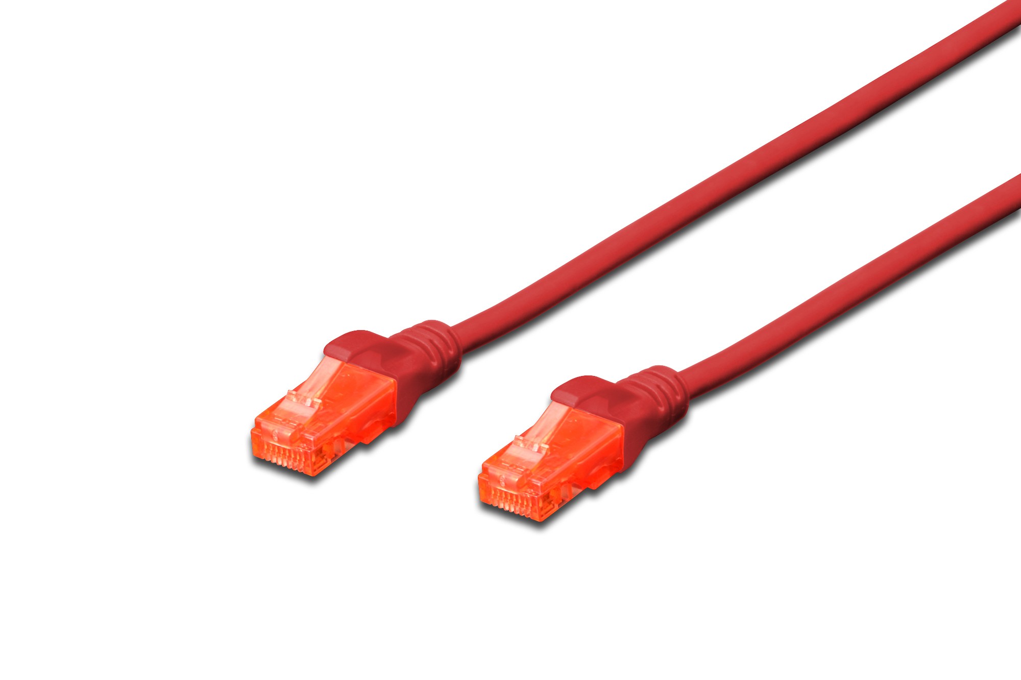 Cavo Rete Utp Cat. 6 Non Schermato Lszh Mt. 025 Rosso