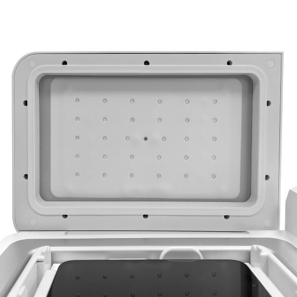 Celly Membrane Proscreen Zheroes PROMEMBRANE
