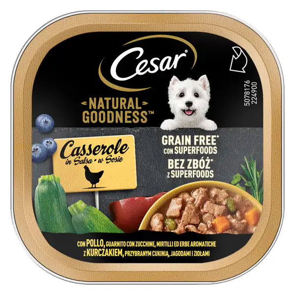 Cesar Dog Natural Goodness Casserole in salsa Grain Free 100 gr Pollo, guarnito con zucchine e mirtilli - confezione da 16 pezzi - Cibo umido per cani - 1° ORDINE? scegli tra BZR5 - BZR20 + 200 pt fedeltà