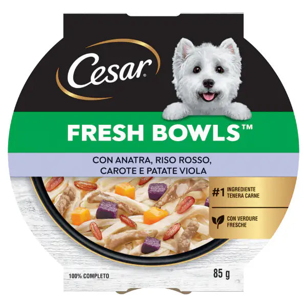 Cesar Fresh Bowls alimento completo per cani di piccola taglia 85 gr Anatra, riso rosso, carote e patate viola - confezione da 10 pezzi - Cibo umido per cani - 1° ORDINE? scegli tra BZR5 - BZR20 + 200 pt fedeltà