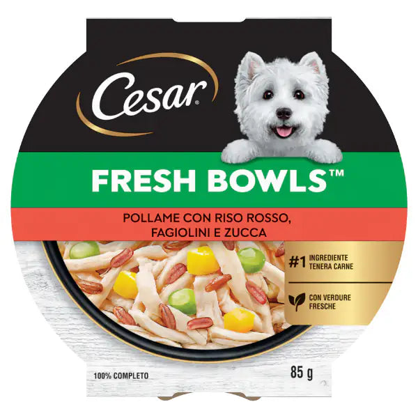 Cesar Fresh Bowls alimento completo per cani di piccola taglia 85 gr Pollame, riso rosso, fagiolini e zucca - confezione da 10 pezzi - Cibo umido per cani - 1° ORDINE? scegli tra BZR5 - BZR20 + 200 pt fedeltà