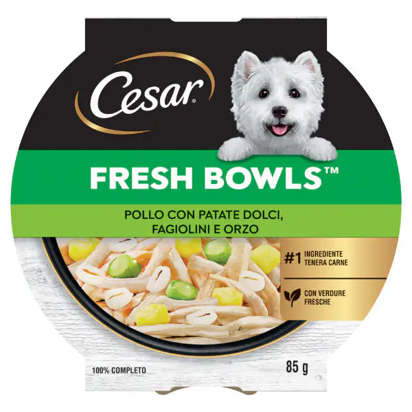 Cesar Fresh Bowls alimento completo per cani di piccola taglia 85 gr Pollo con patate dolci, fagiolini e orzo - confezione da 10 pezzi - Cibo umido per cani - 1° ORDINE? scegli tra BZR5 - BZR20 + 200 pt fedeltà