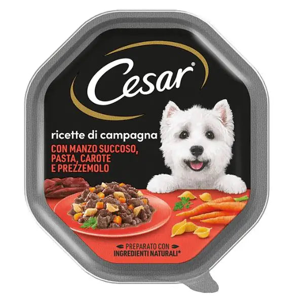 Cesar Ricette di Campagna 150gr Manzo e patate - confezione da 14 pezzi - Cibo umido per cani - 1° ORDINE? scegli tra BZR5 - BZR20 + 200 pt fedeltà