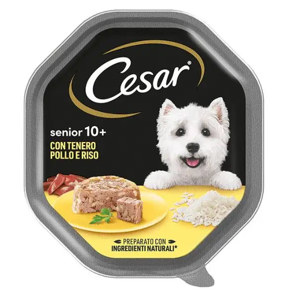 Cesar Senior 10+ in gelatina 150gr Pollo e riso - confezione da 14 pezzi - Cibo umido per cani - 1° ORDINE? scegli tra BZR5 - BZR20 + 200 pt fedeltà
