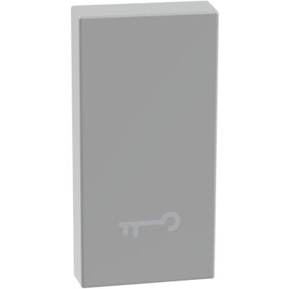 Copritasto Con Simbolo Chiave Per Comandi Assiali Matixgo Bticino Jg4916f Silver Copritasto Con Simbolo Chiave Per Comandi Assiali Matixgo Bticino Jg4916f Silver