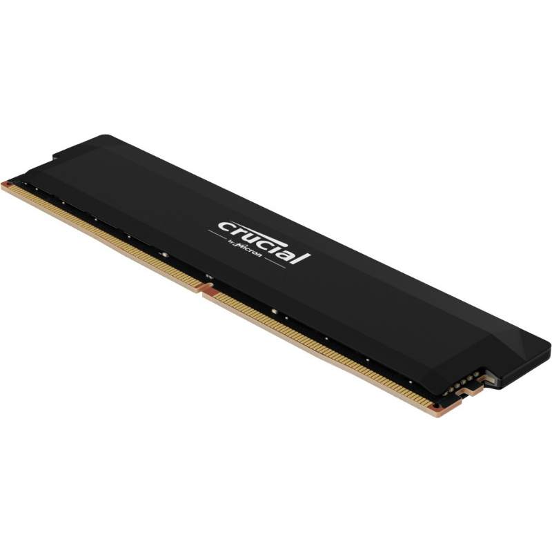 Crucial cp16g60c36u5b memoria 16 gb ddr5 6000 mhz data integrity check (verifica integrità dati)
