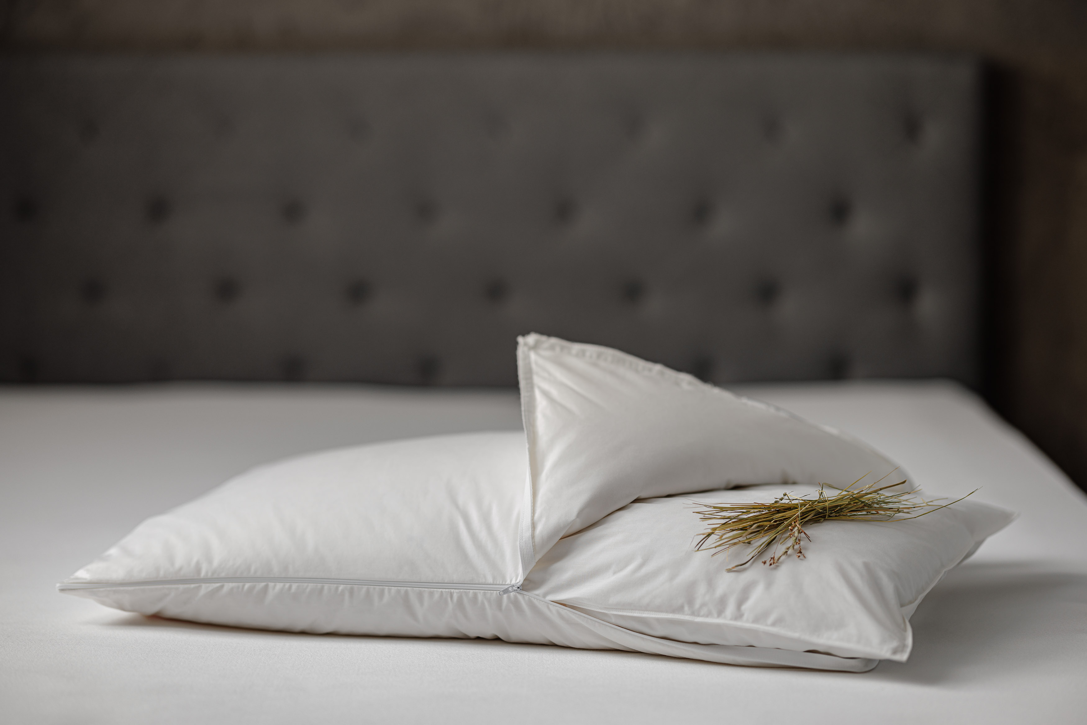 DaunenStep Cuscino con nucleo Perla Fieno