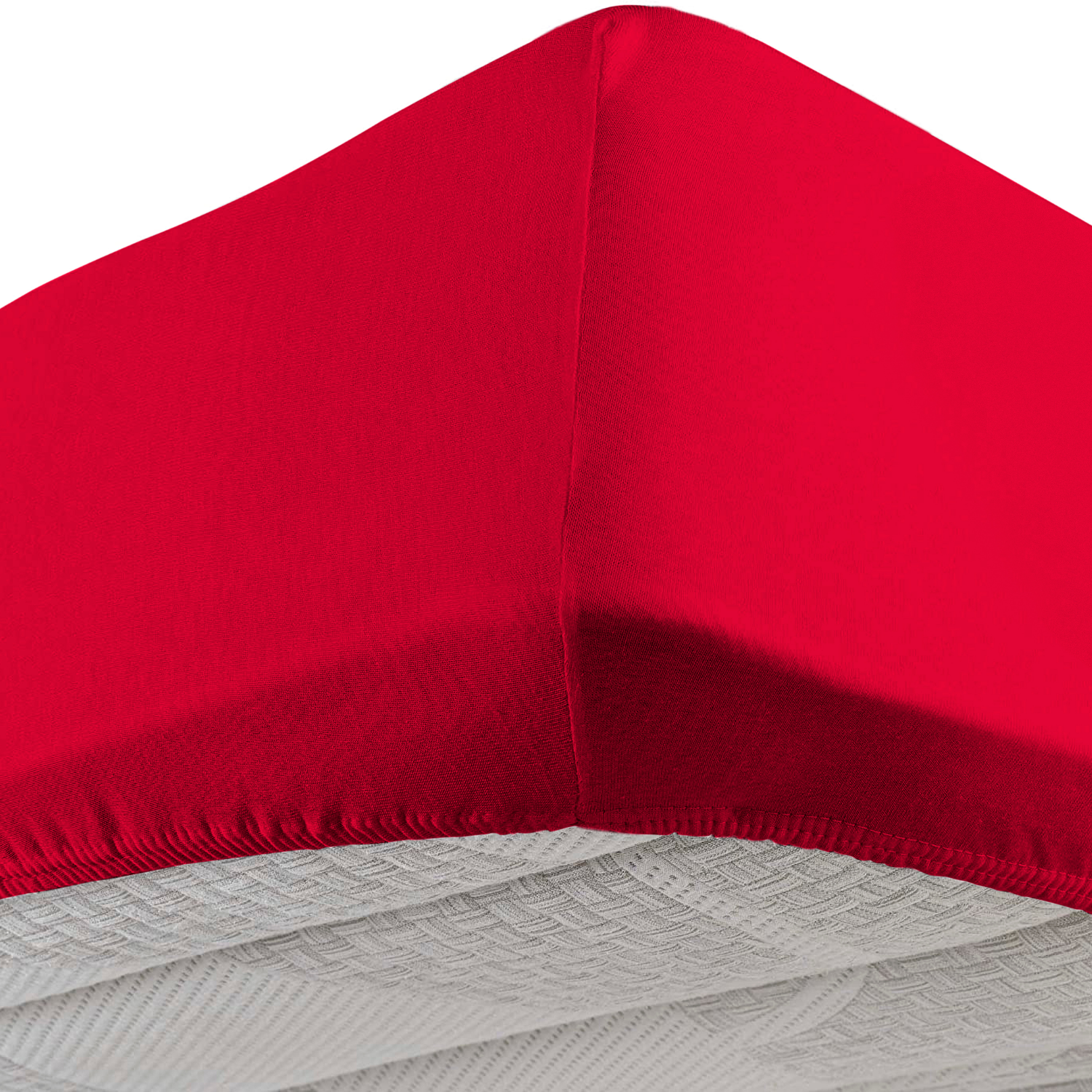DaunenStep Lenzuolo con gli angoli elastici - Vivacolor