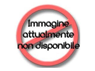 Decespugliatore A Scoppio 0,6Kw Ehl""