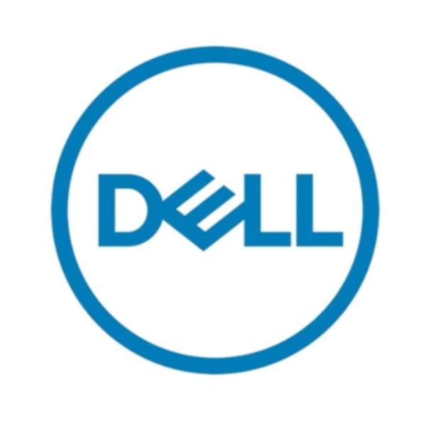 DELL 345-BFSM drives allo stato solido 3,84 TB 2.5" SAS