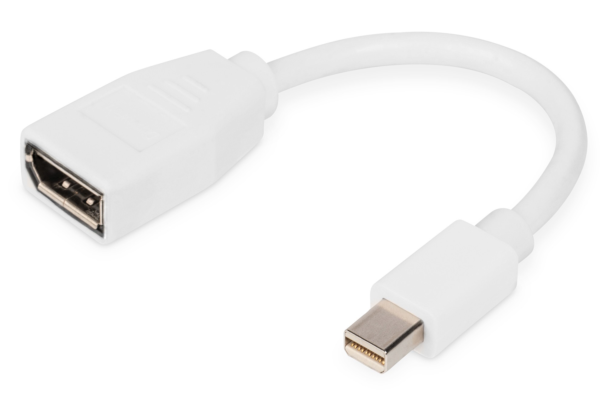 Digitus Cavo Adattatore Displayport Mini Dp - Dp