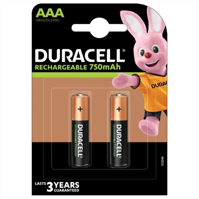 Duracell - Ricaricab.value
