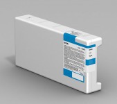 Epson Tanica cleaning
