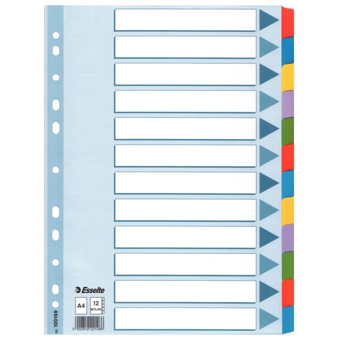 Esselte 100169 Intercalare Mylar 12 Tasti Colorati A4 Perforazione Universale a 11 Fori colore Multicolore