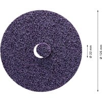 Expert Disco abrasivo in velo N477 SCM, Ø 125mm, extra grosso, Mola abrasiva