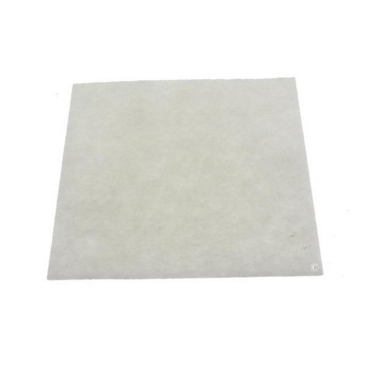Filtro Motore - Aspirapolvere Philips 1222983663946695081 Filtro Motore - Aspirapolvere Philips 1222983663946695081
