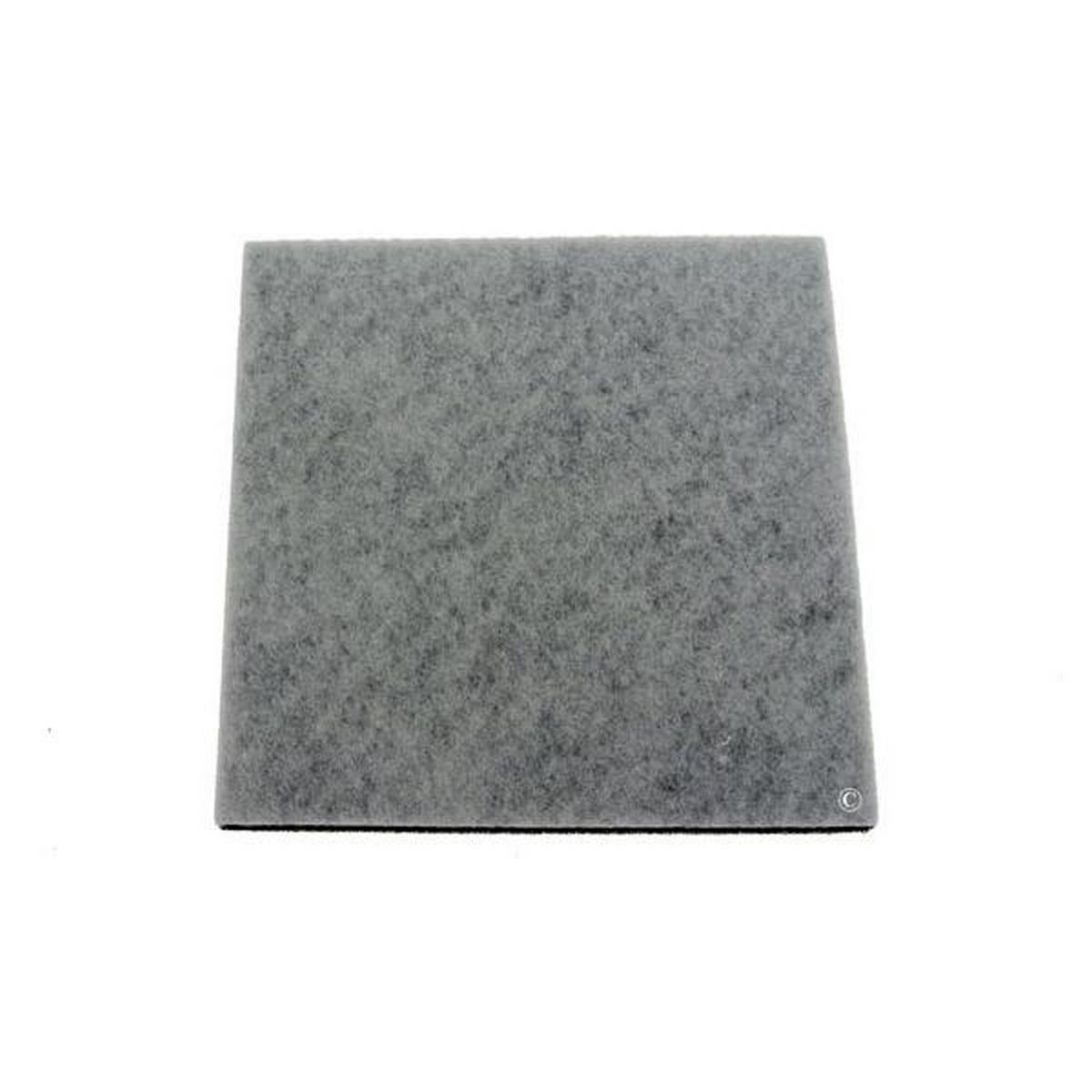 Filtro Motore - Aspirapolvere Philips 370333216568373006