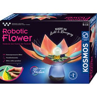 Fiore Robotico, Casella di esperimento