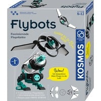 Flybots, Casella di esperimento
