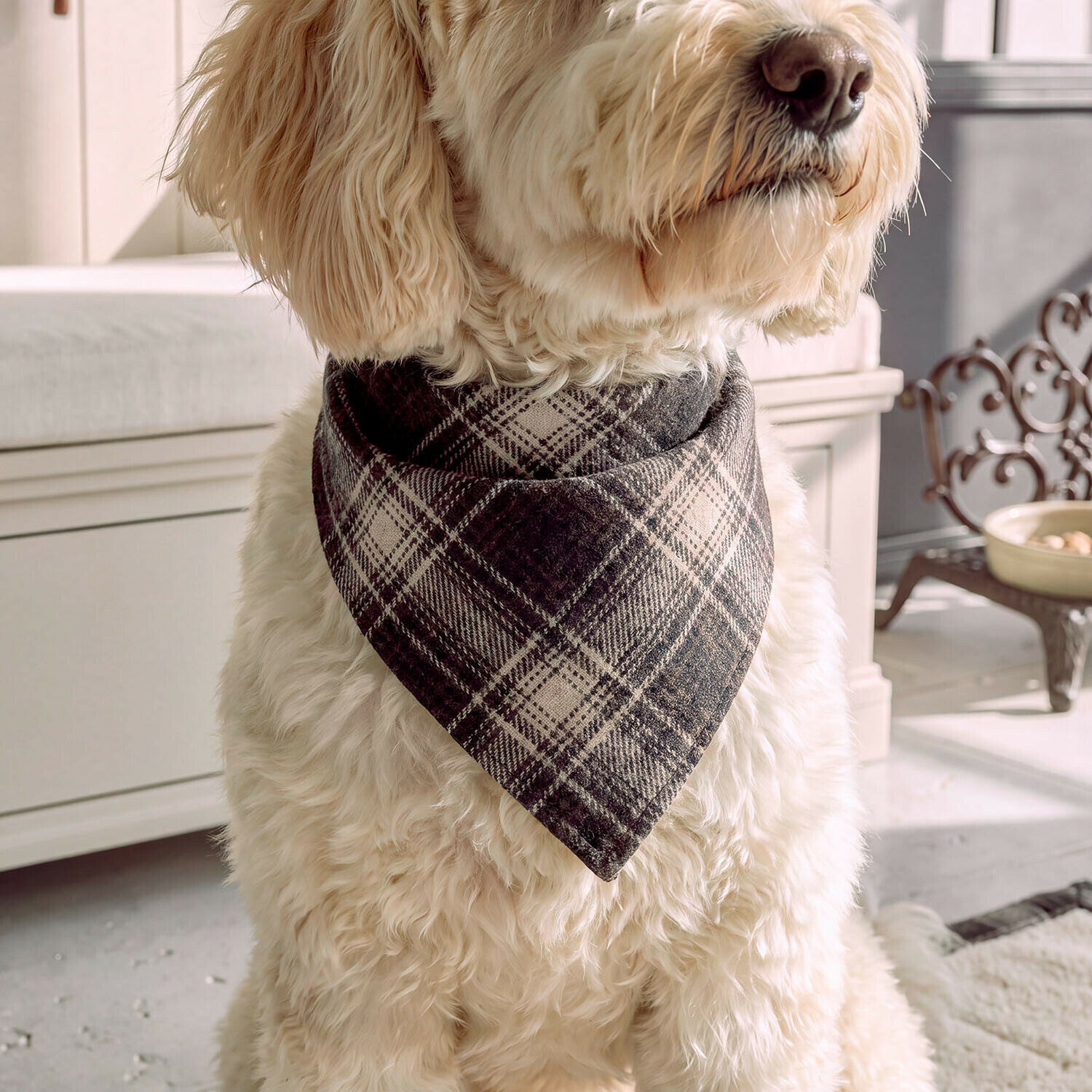 Foulard per cani Darello