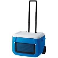 Frigorifero a rete Poly-lite con ruote 50QT, Scatola cool
