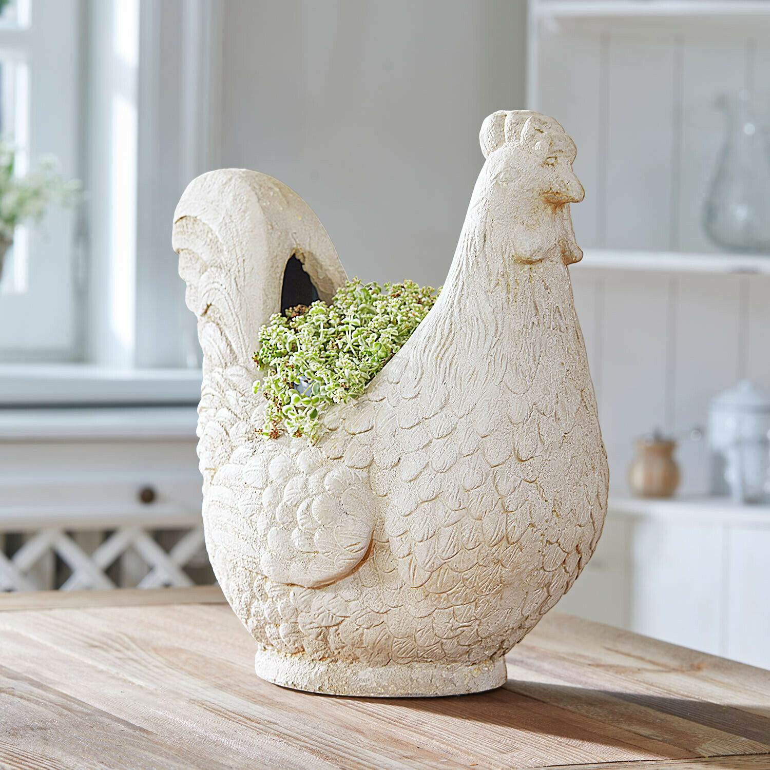 Gallina decorativa Chêne d'Argent