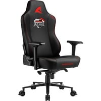 Gaming-Stuhl SKILLER SGS40 ALTERNATE aTTax Sonderedition, Sedili di gioco Gaming-Stuhl SKILLER SGS40 ALTERNATE aTTax Sonderedition, Sedili di gioco