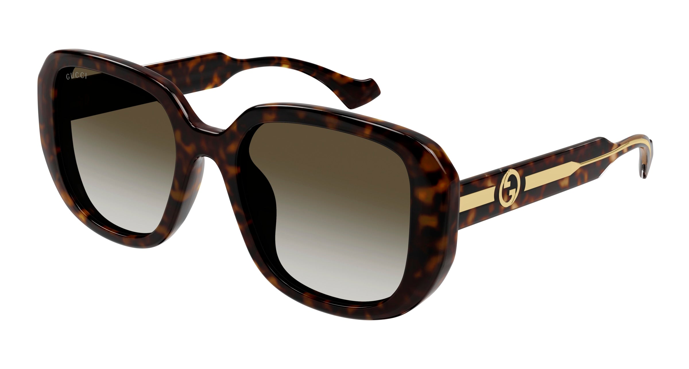 Gucci Donna Gucci GG1557SK 002 Occhiali da sole Iniettato Havana Marrone Squadrata Gucci Donna Gucci GG1557SK 002 Occhiali da sole Iniettato Havana Marrone Squadrata