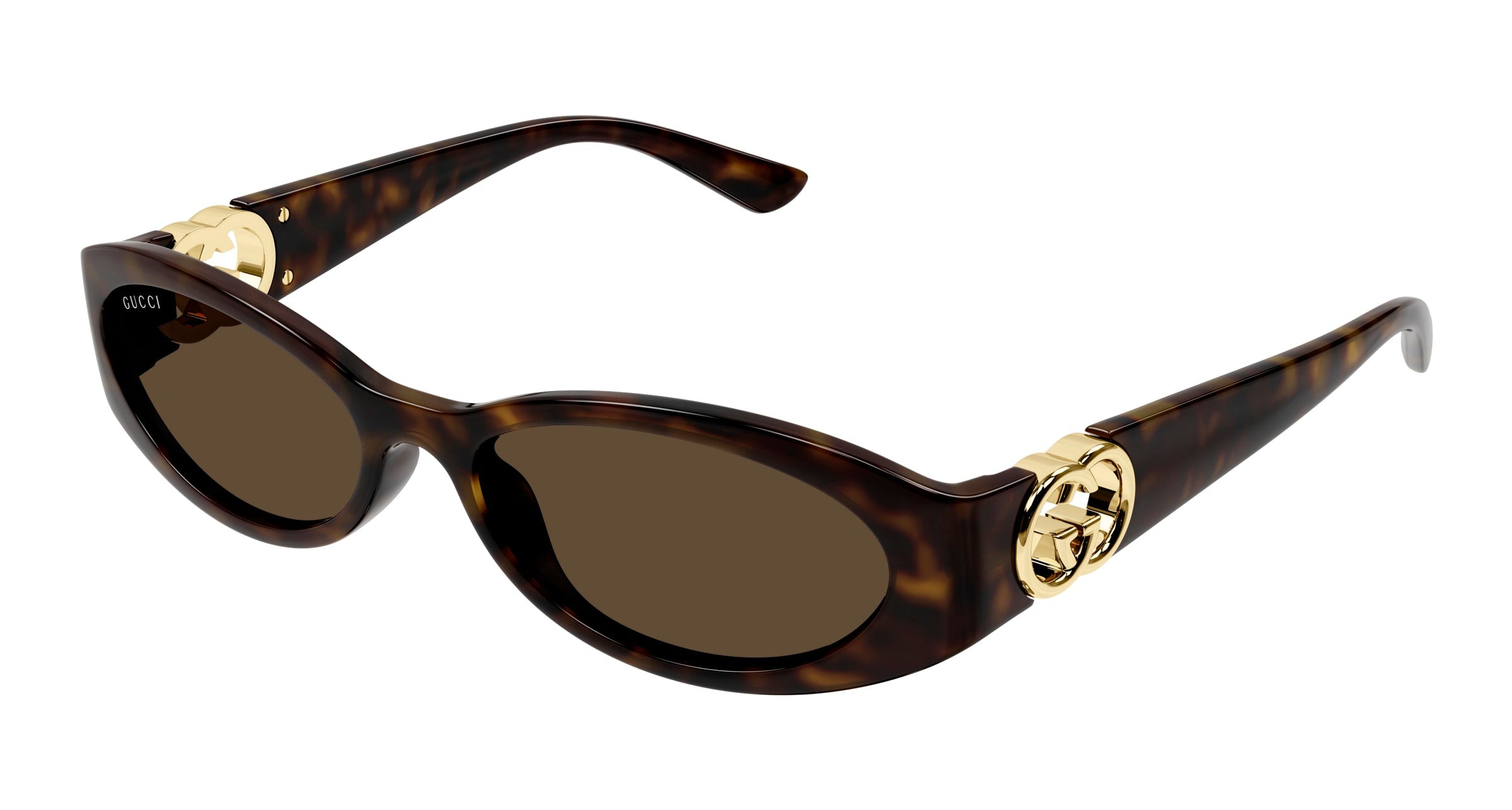 Gucci Donna Gucci GG1660S 002 Occhiali da sole Iniettato Havana Marrone Rotonda