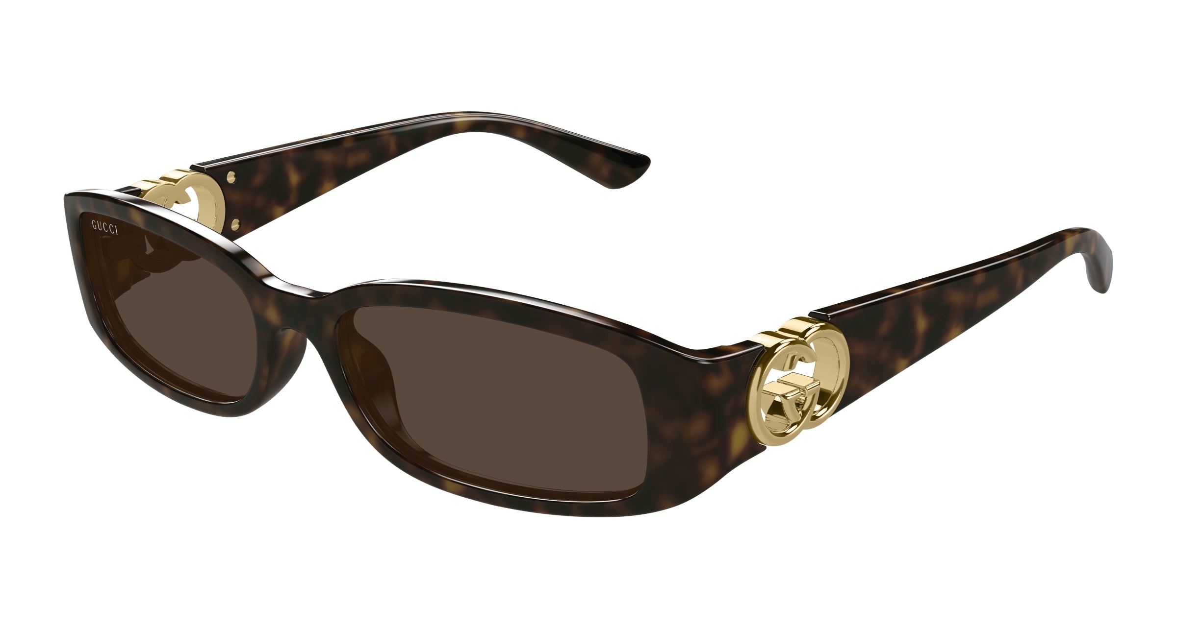 Gucci Donna Gucci GG1661S 002 Occhiali da sole Iniettato Havana Marrone Squadrata Gucci Donna Gucci GG1661S 002 Occhiali da sole Iniettato Havana Marrone Squadrata