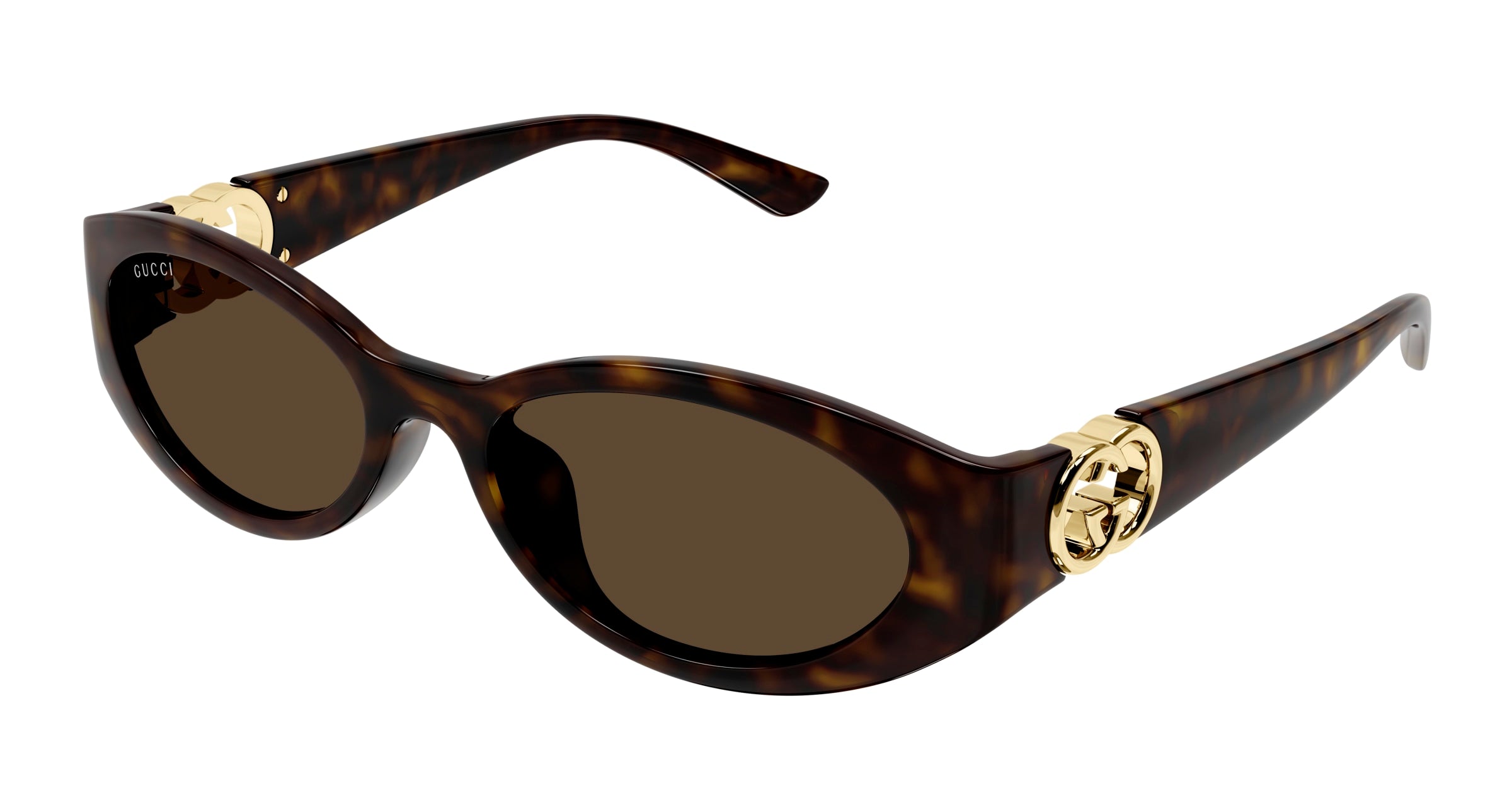 Gucci Donna Gucci GG1662SA 002 Occhiali da sole Iniettato Havana Marrone Rotonda Gucci Donna Gucci GG1662SA 002 Occhiali da sole Iniettato Havana Marrone Rotonda